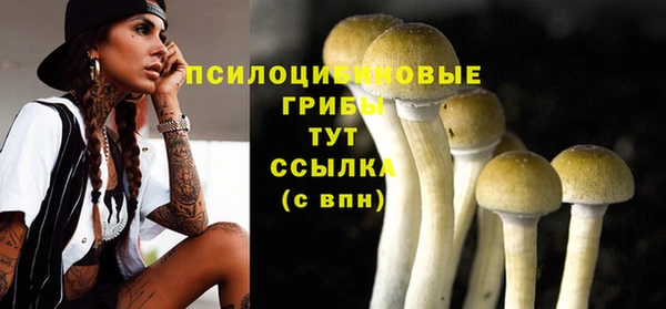 гашишное масло Алексеевка