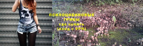 каннабис Алзамай