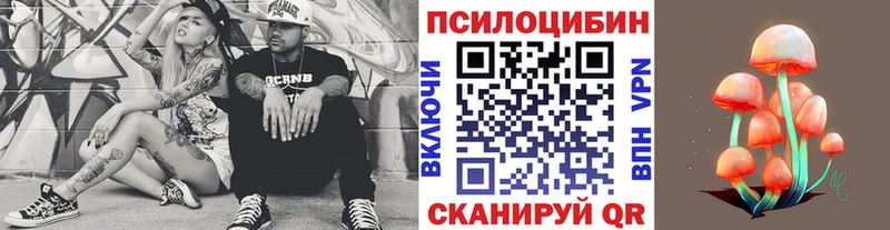 ОМГ ОМГ ССЫЛКА  Жиздра  Псилоцибиновые грибы Magic Shrooms 